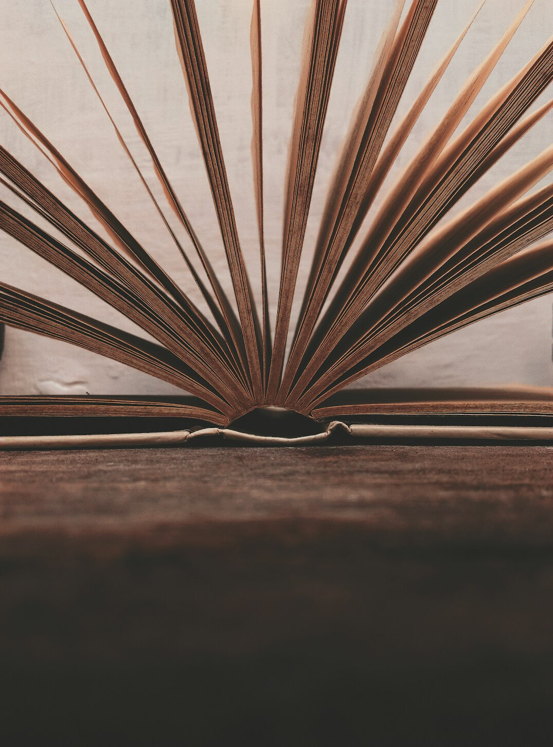 mystery book with twist ending