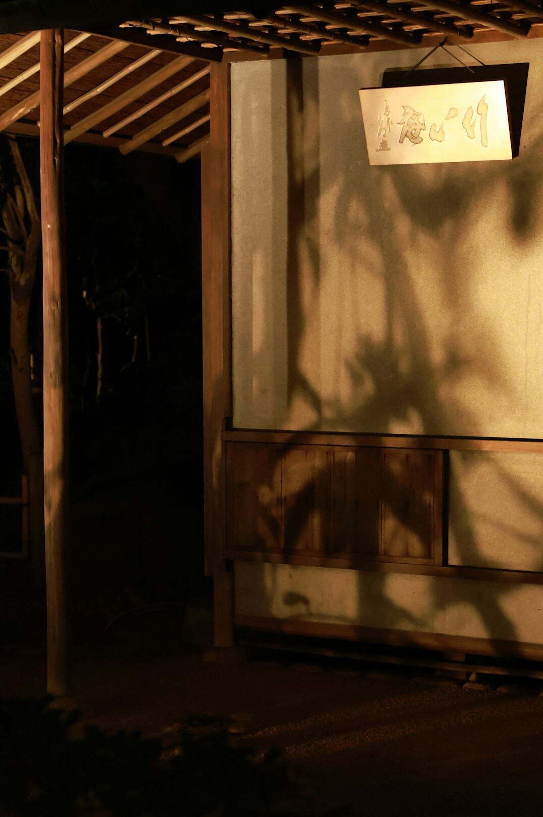 mysterious character in shadows